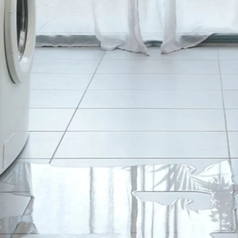 Appliance Leak Cleanup in Glasscock County, TX