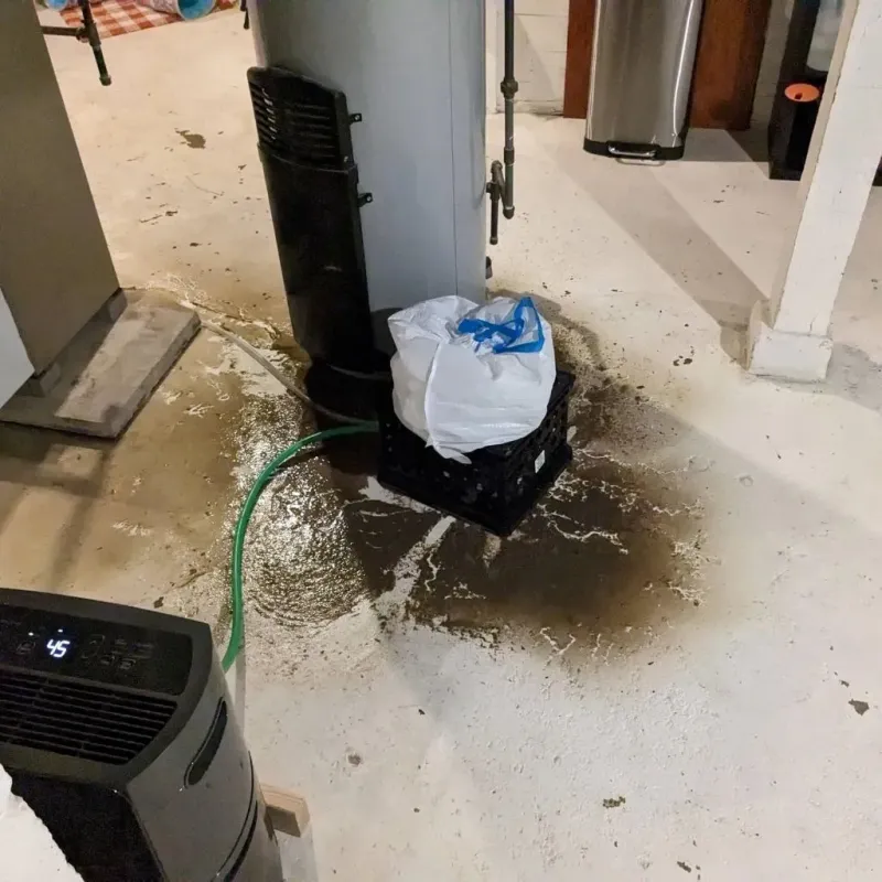 Sewage Backup Cleanup Service in Glasscock County, TX